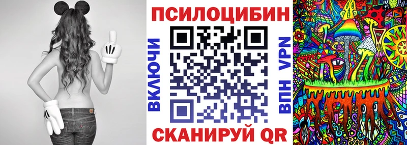 мега ссылка  Кимры  Псилоцибиновые грибы мицелий 