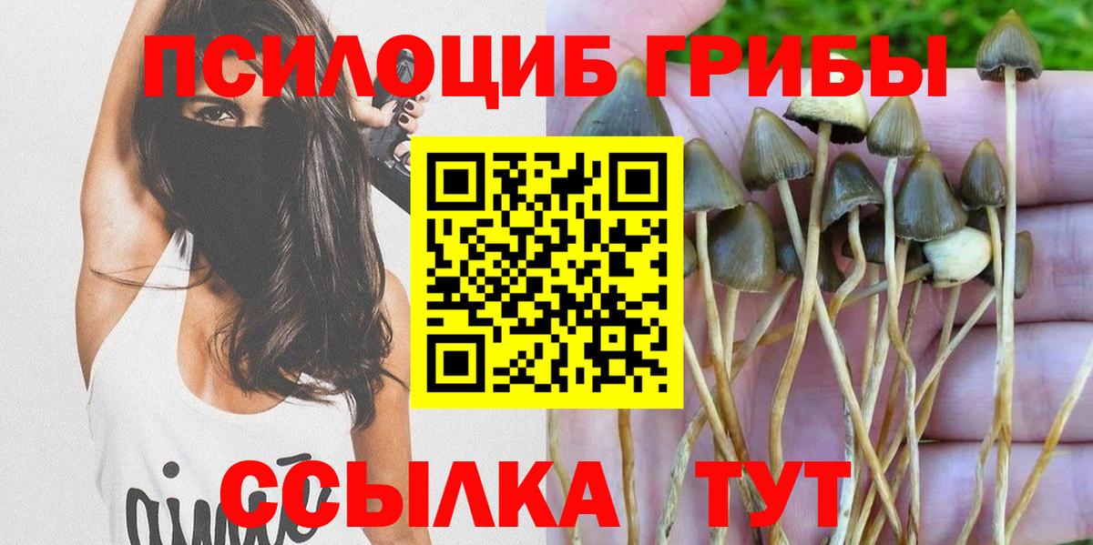 Галлюциногенные грибы ЛСД  Вход с VPN  Кимры  закладка  Галлюциногенные грибы мицелий 