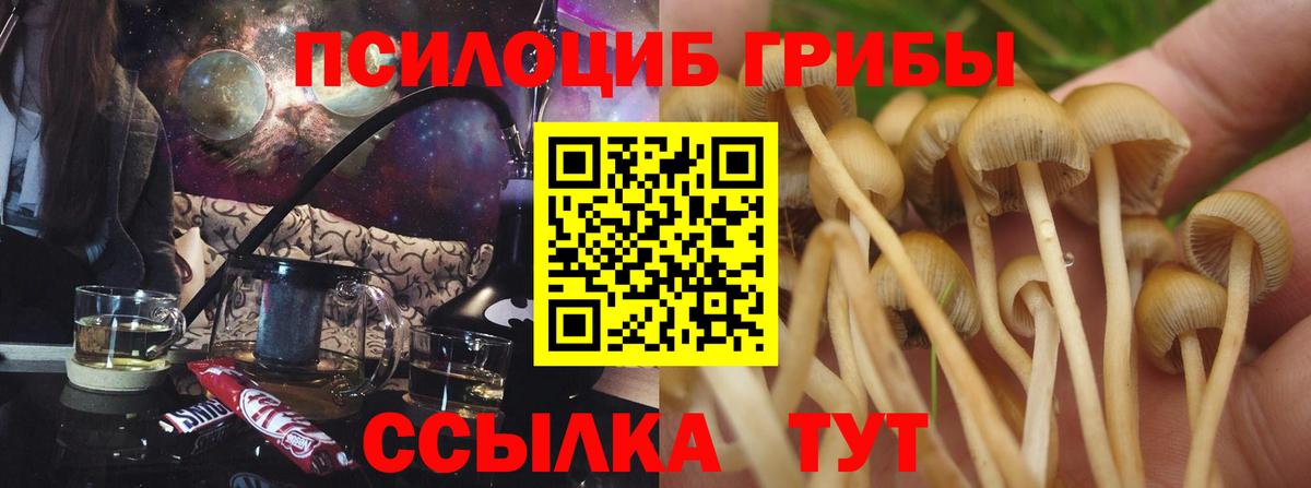 Псилоцибиновые грибы мухоморы Кимры